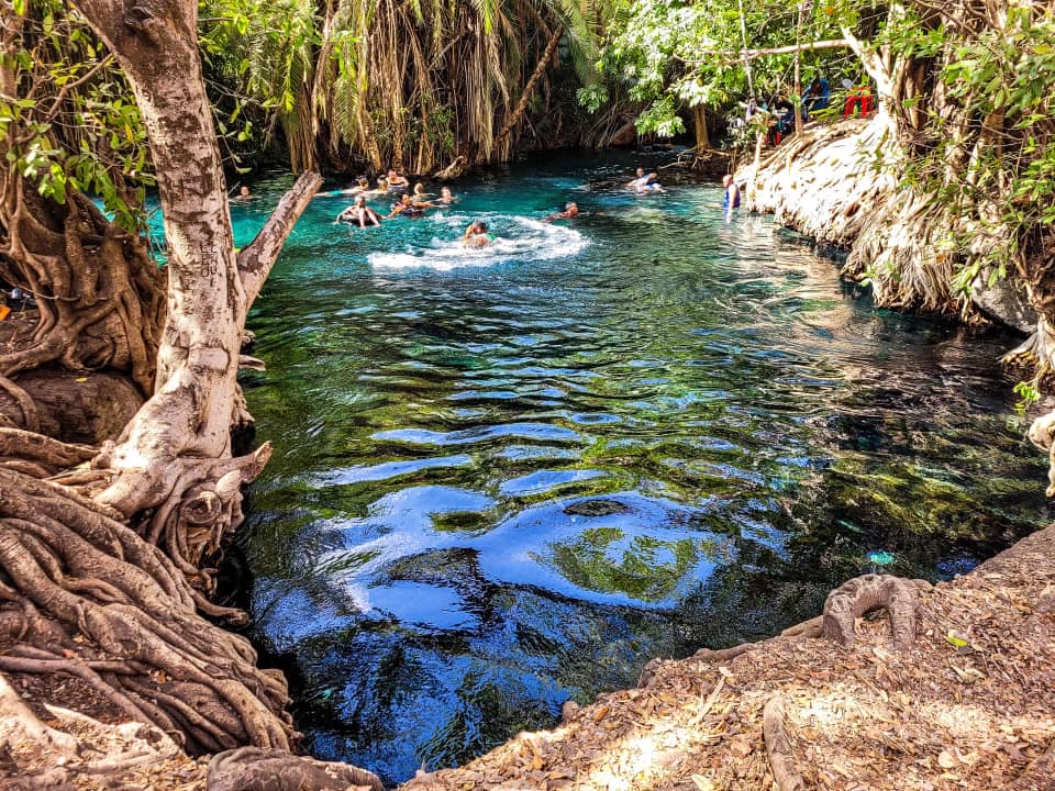People swimming in Rundugai Hot Springs with exposed tree roots visible